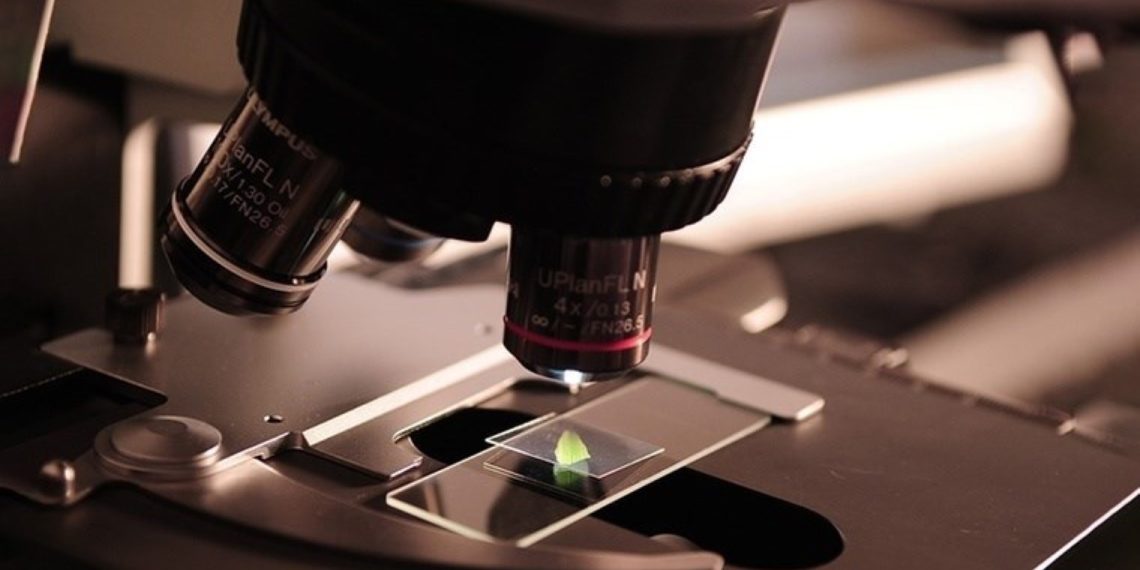 Abd, Biyomedikal Araştarma Fonlarda Kesiniye Gitti