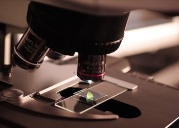 Abd, Biyomedikal Araştarma Fonlarda Kesiniye Gitti