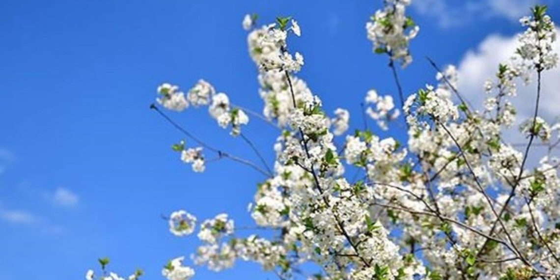 Cemre ne Vakit Düzer? Birinci Cemre Düişme Tarihi Ne?