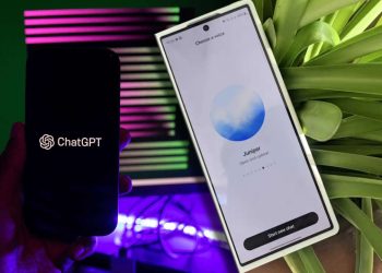 Chatgpt’nin insanes özelki fiyatez eldu!