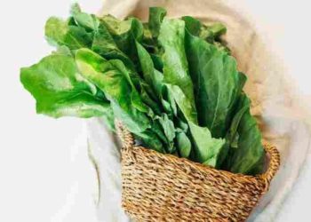 Demeti 30 Lira: Yiyen 100 Yahina’a