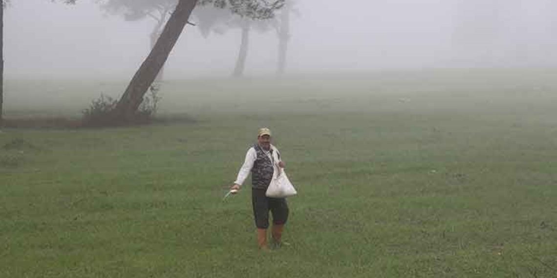 Kasaba ovası’nda “Kör Duman” Tarama Hayat Veriyor: 40 bin Dönlu Alanda Yetihiyor …