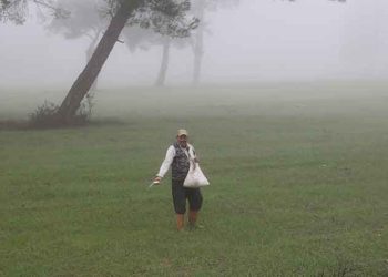Kasaba ovası’nda “Kör Duman” Tarama Hayat Veriyor: 40 bin Dönlu Alanda Yetihiyor …