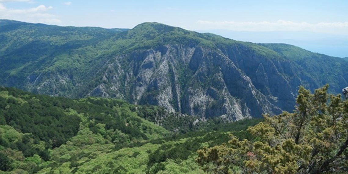 Kazdalanara’nda Cengiz ve Nurol’un Yukimina ‘Danaytay’ Onayi