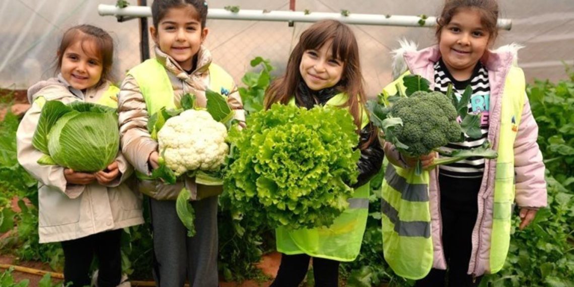 Mersin’de Sempatik Hasat: Minik ELLER BIRINCI MAHSULLERI TOPLATS