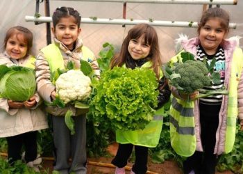 Mersin’de Sempatik Hasat: Minik ELLER BIRINCI MAHSULLERI TOPLATS