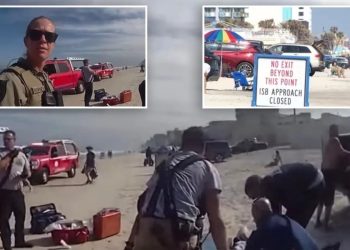 Plajda avşaşenen turistin ükerinden pikap kamyonet gulti