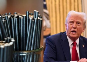 Trump’tan ‘Koğyt Pipet’ Yanı: Plastik Geri Dönezoruz