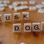 Highguard-Titanfall-ve-Apex-Legends-Gelistiricilerinin-Yeni-Strateji-Oyunu-Piyasada-featured