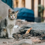 Merakla-Beklenen-Oyun-Devamlari-Neden-Hic-Gelmiyorlar-featured