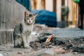 Merakla-Beklenen-Oyun-Devamlari-Neden-Hic-Gelmiyorlar-featured