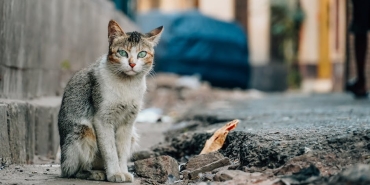 Merakla-Beklenen-Oyun-Devamlari-Neden-Hic-Gelmiyorlar-featured