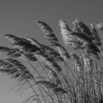 Yeni-Super-Dunya-TOI-715-b-Disaridan-Benziyor-Ici-Cehennem-featured