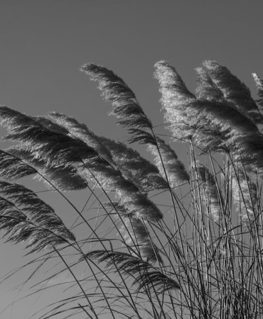 Yeni-Super-Dunya-TOI-715-b-Disaridan-Benziyor-Ici-Cehennem-featured