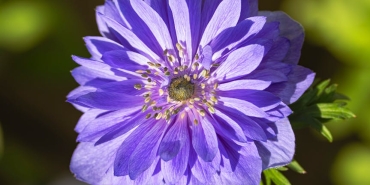 AI-Telif-Hakki-Tartismasi-Kizisiyor-Anthropic8217ten-Sert-Cikis-featured