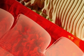 Google-DeepMind-Yapay-Zekasi-Reddedilince-Tehditler-Savurdu-featured