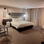 Luks-Otel-Hackeri-Yakalandi-Bedava-Krallik-Sona-Erdi-featured