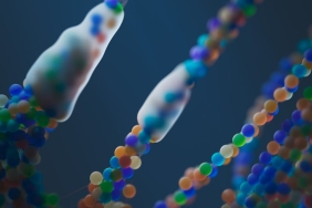 Su-Altinda-Uzun-Sure-Yasam-Genetik-Yapimizi-Degistiriyor-Mu-featured