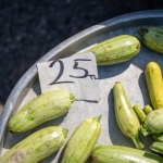 Subat-2026-Seat-Fiyat-Listesi-Leon8217a-570-Bin-TL-Zam-featured