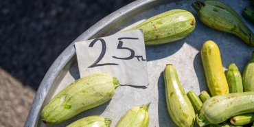 Subat-2026-Seat-Fiyat-Listesi-Leon8217a-570-Bin-TL-Zam-featured