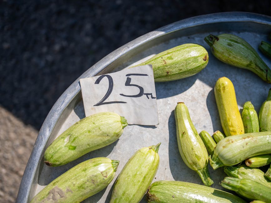 Subat-2026-Seat-Fiyat-Listesi-Leon8217a-570-Bin-TL-Zam-featured