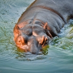 Buyuk-Filtre-Teorisi-Insanlik-Yalniz-mi-Tehdit-Altinda-mi-featured