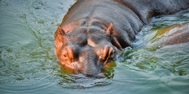 Buyuk-Filtre-Teorisi-Insanlik-Yalniz-mi-Tehdit-Altinda-mi-featured