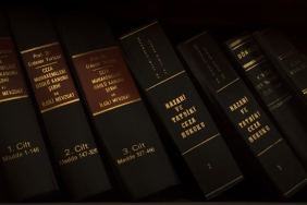 Dev-Bocekler-Neden-Kuculdu-Bilim-O-Sirri-Cozdu-featured