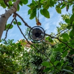 Diablo-IV-Lord-of-Hatred-Genislemesi-Warlock-Sinifi-ve-Nahantu8217yu-Getiriyor-featured