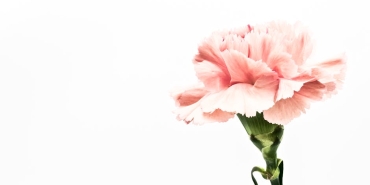 Epic-Games8217ten-Cifte-Hediye-The-Outer-Worlds-ve-Islets-Ucretsiz-Oldu-featured