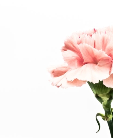 Epic-Games8217ten-Cifte-Hediye-The-Outer-Worlds-ve-Islets-Ucretsiz-Oldu-featured