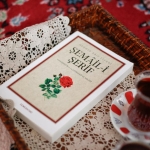 Mars8217in-Gizemli-Hizlanisi-Kizil-Gezegen-Neden-Hizli-Donuyor-featured