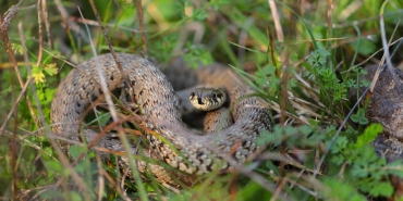 Turkiye8217de-Gecen-Ay-En-Cok-Izlenen-Diziler-Aciklandi-featured