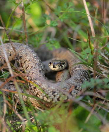 Turkiye8217de-Gecen-Ay-En-Cok-Izlenen-Diziler-Aciklandi-featured