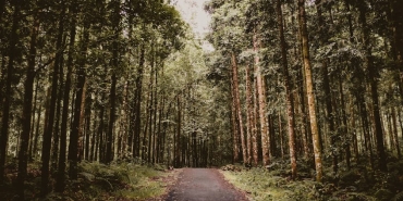 Valve-Portal-38217u-Neden-Cikarmiyor-Beklenen-Cevaplar-featured