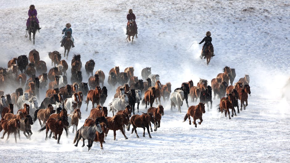 Antarktika-Soguk-Kita-Sicak-Jeopolitik-Cekisme-Alani-featured