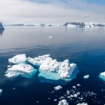 Antarktika-Sularinda-Kemik-Yiyen-8220Zombi-Kurtlar8221-Kesfedildi-featured