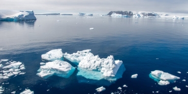 Antarktika-Sularinda-Kemik-Yiyen-8220Zombi-Kurtlar8221-Kesfedildi-featured