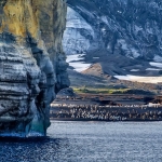 Antarktika8217daki-Hayalet-Ada-Sirri-Cozuldu-Harita-Hatasi-Ortaya-Cikti-featured