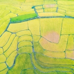 Cin8217in-Yapay-Zeka-Destekli-Tarim-Hamlesi-Dijital-Tarlalar-Kuresel-Cozum-Olabilir-mi-featured