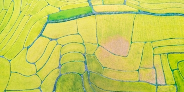 Cin8217in-Yapay-Zeka-Destekli-Tarim-Hamlesi-Dijital-Tarlalar-Kuresel-Cozum-Olabilir-mi-featured