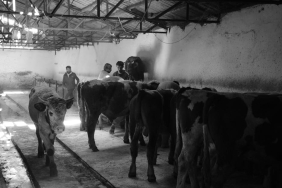 ESO8217dan-Cigir-Acan-Kesif-11.000-Yeni-Asteroit-Tek-Seferde-Tescillendi-featured