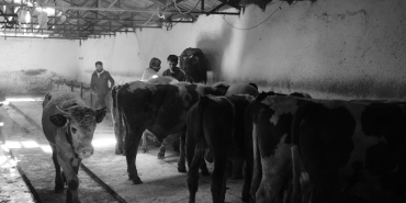 ESO8217dan-Cigir-Acan-Kesif-11.000-Yeni-Asteroit-Tek-Seferde-Tescillendi-featured