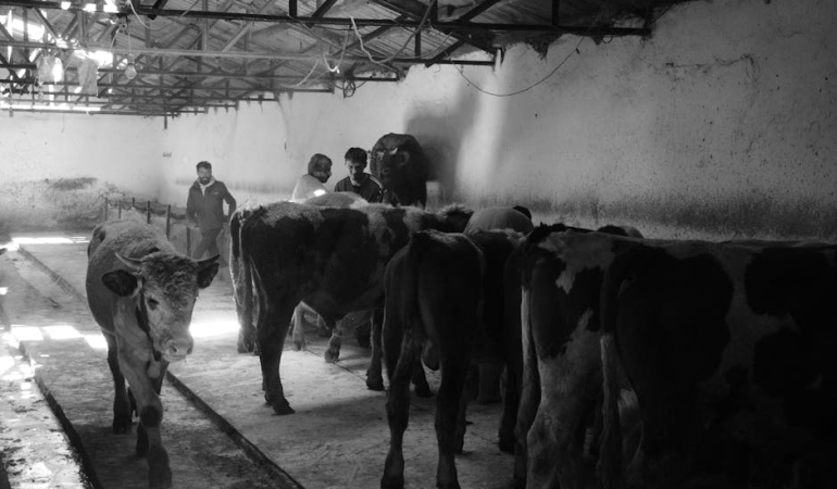 ESO8217dan-Cigir-Acan-Kesif-11.000-Yeni-Asteroit-Tek-Seferde-Tescillendi-featured