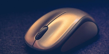 Fareler-Internet-Archive8217i-Neredeyse-Nasil-Iflas-Ettirdi-featured